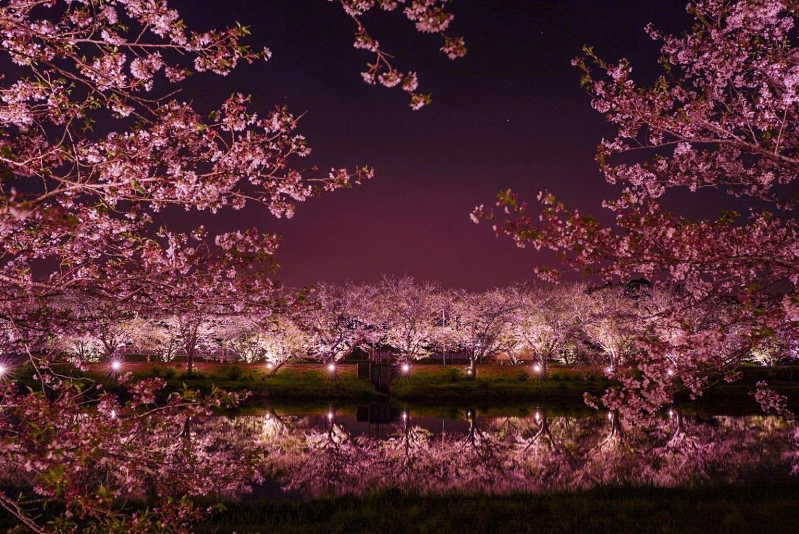 Masugataya Ryokan Tako Esterno foto